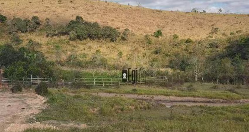 Sítio com 4 dormitórios à venda, 440000 m² por R$ 950.000,00 - Distrito de Mantiqueira - Santos Dumont/MG
