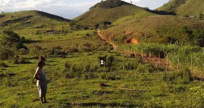 Terreno à venda, 1750 m² por R$ 100.000,00 - Chacara - Chácara/MG