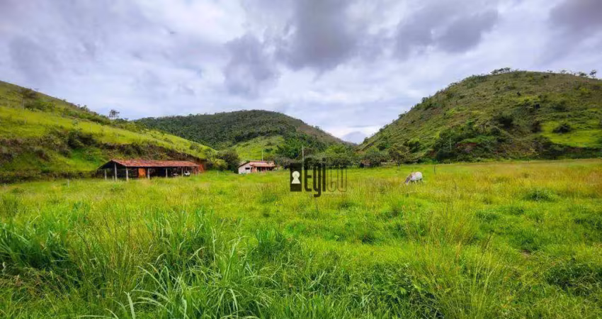 Sítio com 2 dormitórios à venda, 552000 m² por r$ 1.350.000,00 - centro - paraíba do sul/rj