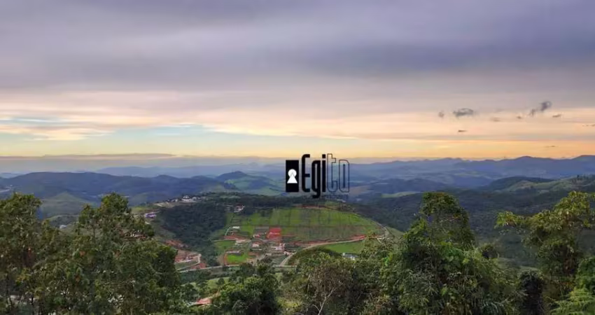 Terreno à venda, 2600 m² por r$ 480.000,00 - novo horizonte - juiz de fora/mg