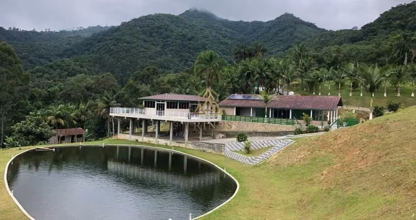 Chácara / sítio com 4 quartos à venda na Geral de Rio Novo, Rio Novo, Águas Mornas