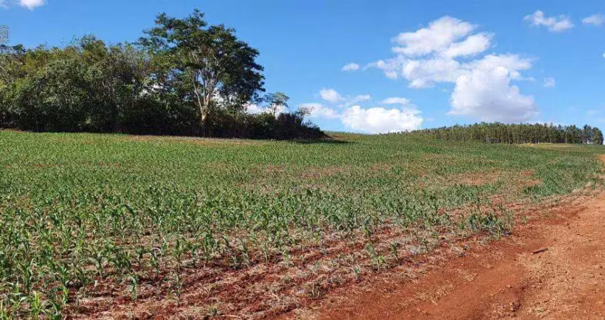 Terreno à venda no Centro, Sertanópolis 
