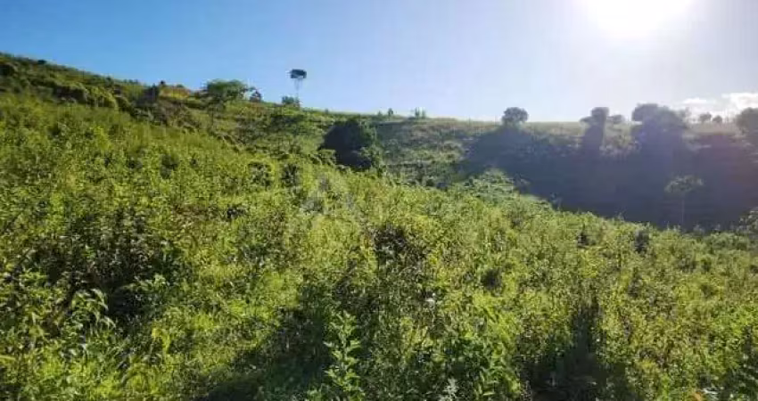 Chácara / sítio à venda na AREA RURAL, 1, Centro, Xexéu