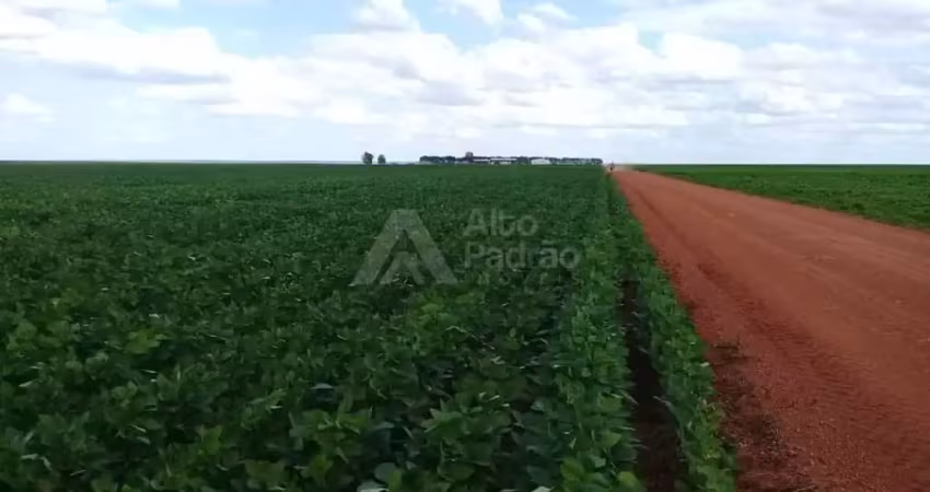 Fazenda com 21 mil hectares | á venda | terezinha - pi