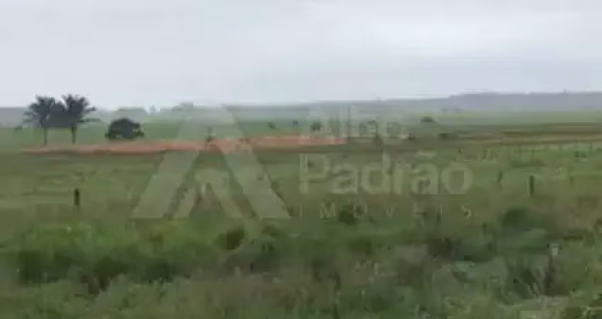 Fazenda no município de bom jesus das selvas-maranhão