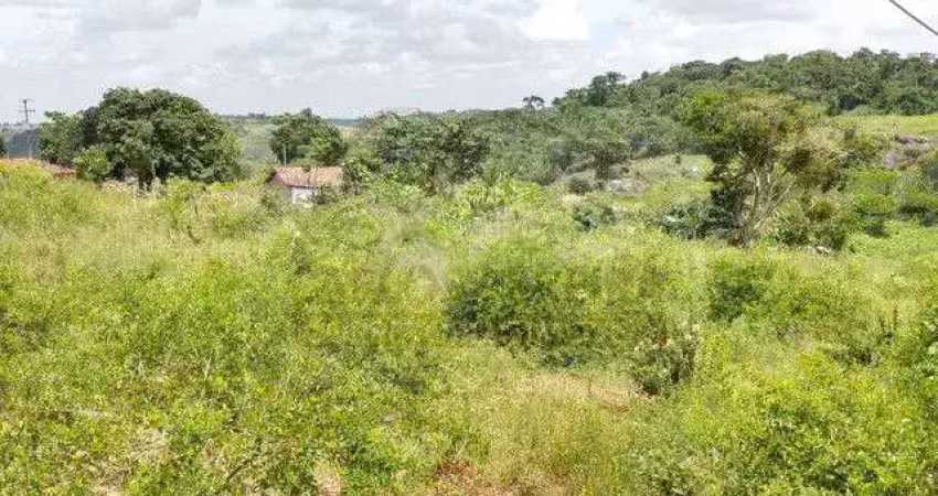 Chácara / sítio à venda na Rua Dois Leões, Dois Leões, Pombos