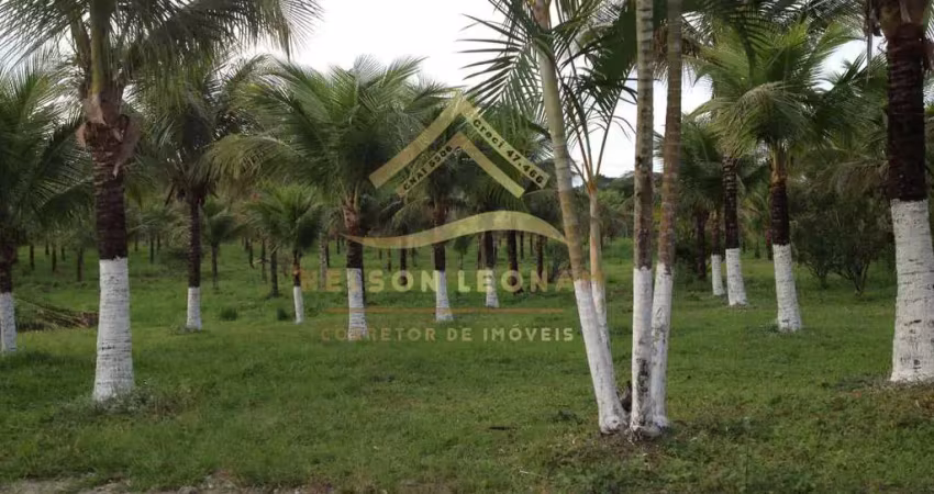 Área à venda em itaboraí, granjas mirassol (pachecos), 10150m²