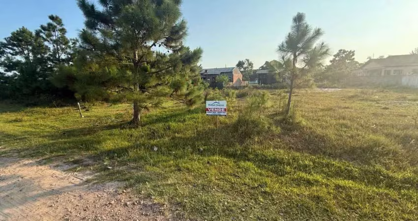 Terreno à venda, 300 m² por r$ 70.000 - golfinho - balneário arroio do silva/sc