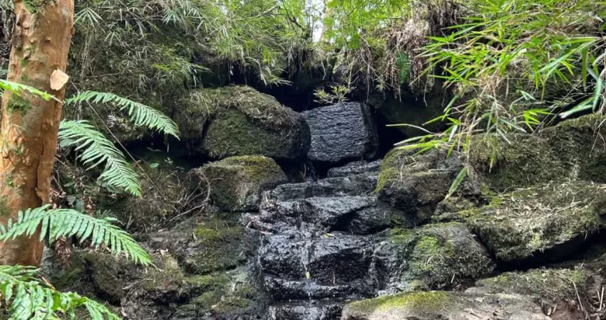 Chácara / sítio à venda na Rua São José, Zona Rural, Cambará do Sul