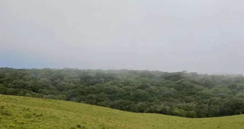 Chácara / sítio à venda na Rua São José, Zona Rural, Cambará do Sul