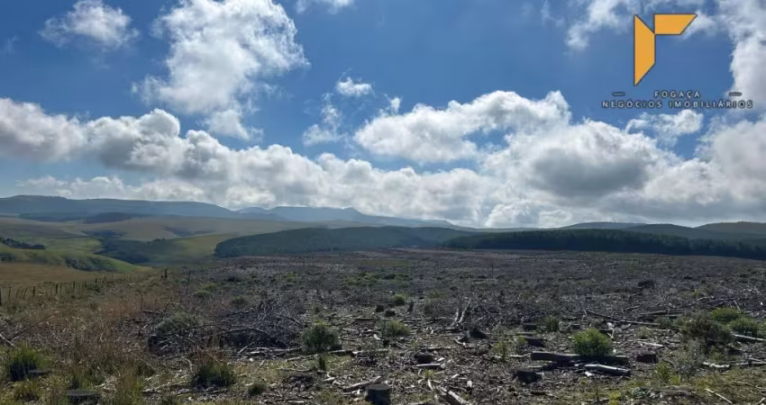 Chácara / sítio à venda na Rua São José, Zona Rural, Cambará do Sul