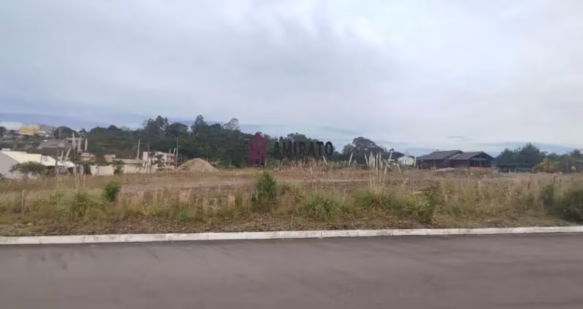 Terreno à venda no Belvedere, Farroupilha 