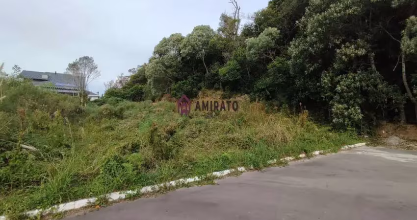 Terreno à venda no bairro Monte Verde em Farroupilha