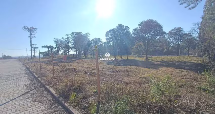 Terreno à venda – loteamento parque vita | farroupilha/rs