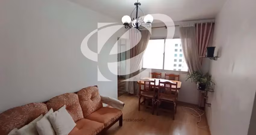Apartamento residencial à venda, vila guarani (zona sul), são paulo - ap0807.