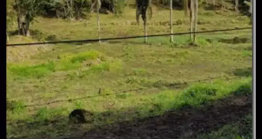 Terreno à venda na Rua Evaldino Venâncio Cunha, São Judas Tadeu, Balneário Camboriú