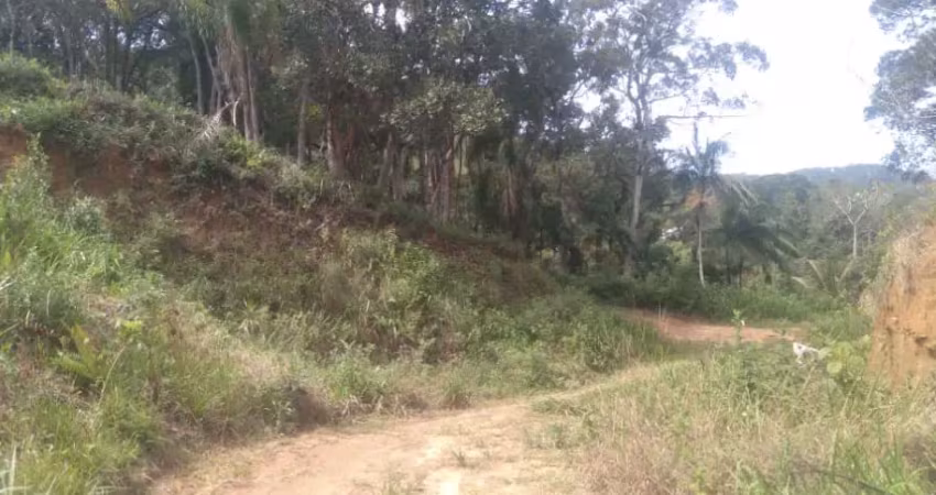 Terreno à venda na Terreno em Bombinhas!, Bombas, Bombinhas