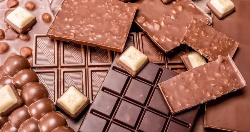 Fantástica fábrica de chocolate à venda! exportação internacional! oportunidade!