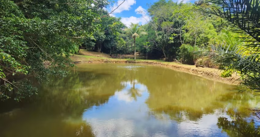 SÍTIO ECOLÓGICO C/ 27.500 M² C/ FONTE DE ÁGUA MINERAL, VIZINHO AO ALPHAVILLE LITORAL NORTE lll