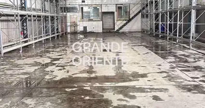 Galpão 1.200 m² p/ alugar em b. mansa | altíssima visibilidade e acesso à dutra