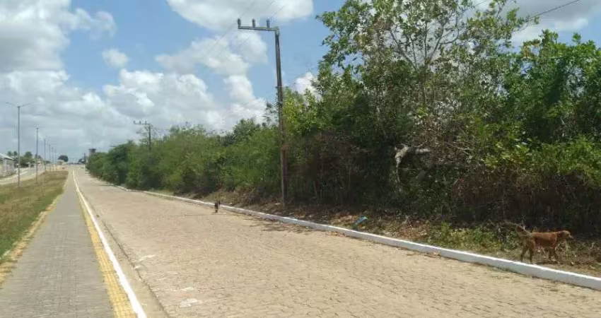Terreno à venda, 182800 m² por r$ 800.000,00 - centro - poço branco/rn