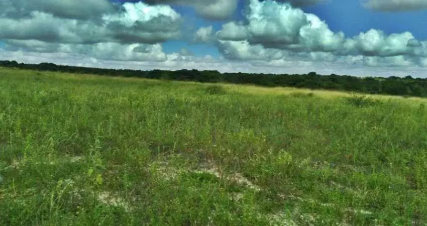 Sítio à venda, 300000 m² por r$ 1.500.000,00 - ceará-mirim - ceará-mirim/rn
