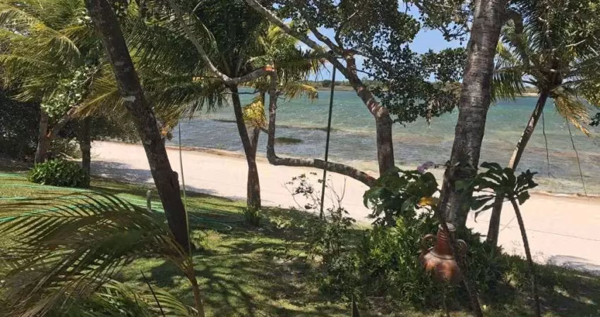 Chácara à venda, 8848 m² por r$ 550 - zona rural - nísia floresta/rn
