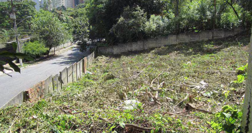 Terreno à venda, 2442 m² por r$ 24.420.000,00 - vila suzana - são paulo/sp