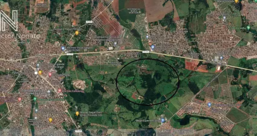 Área na rodovia dos romeiros, entre goiânia e trindade