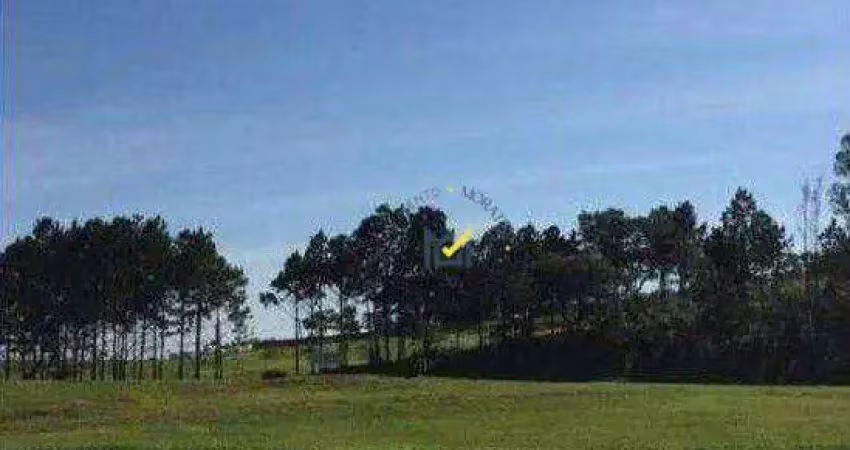 Área, 10900 m² - venda por r$ 3.900.000,00 ou aluguel por r$ 10.000,00/mês - éden - sorocaba/sp