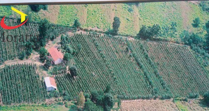 Terreno à venda, 13700 m² por r$ 2.470.000,00 - distrito industrial do lageado - salto/sp