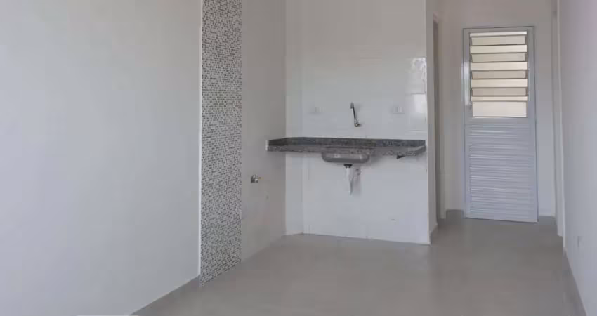 Apartamento para aluguel - ermelino matarazzo, 2 quartos,  45 m² - são paulo