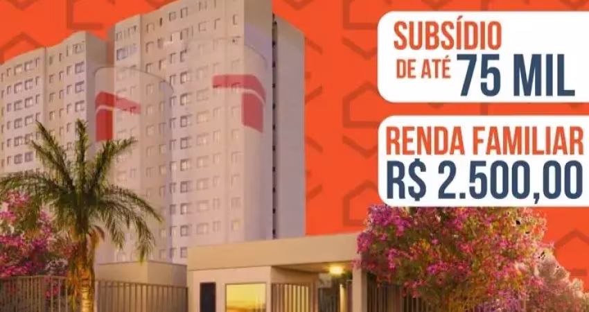 Lançamento na zona sul - 2 quartos, elevador, programa minha casa minha vida