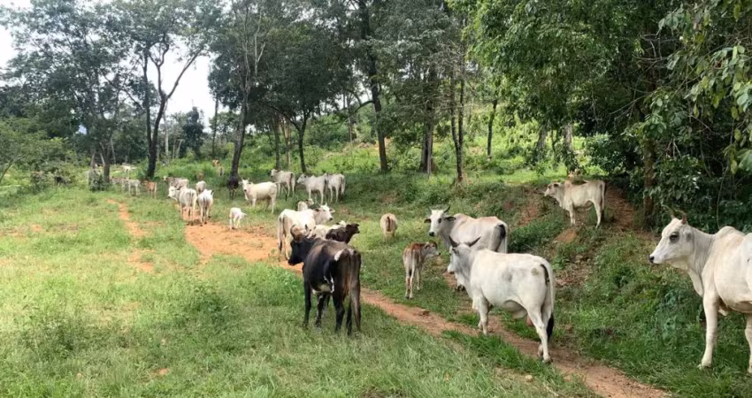 Fazenda com 1 sala à venda na Rodovia DF-205, Setor Habitacional Fercal (Sobradinho), Brasília