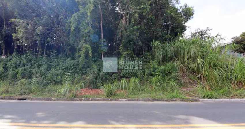Terreno à venda no Fortaleza Alta, Blumenau 