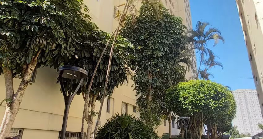 Apartamento à  Venda em Pirituba, Reformado, Vila Jaraguá, 2 dormitórios, 1 vaga