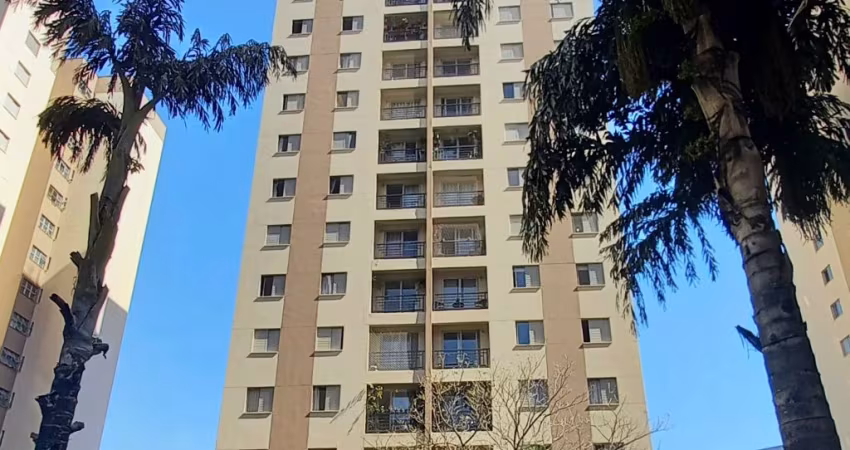 Apartamento à Venda na Avenida do Anastácio, 3 dormitórios, 1 vaga