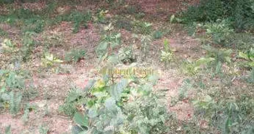 Chácara de 5.180.00 m²`a venda em biritiba mirim-sp