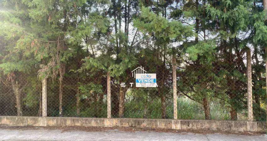 Terreno à venda, 404 m² por r$ 303.000,00 - vila santa helena - atibaia/sp