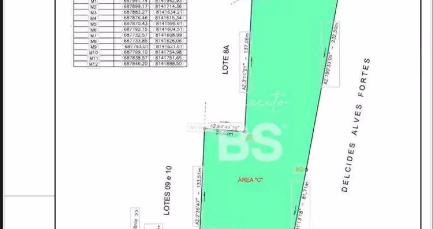 Excelente area comercial as margens da br 153 - ideal para galpoes , empresas de logistica