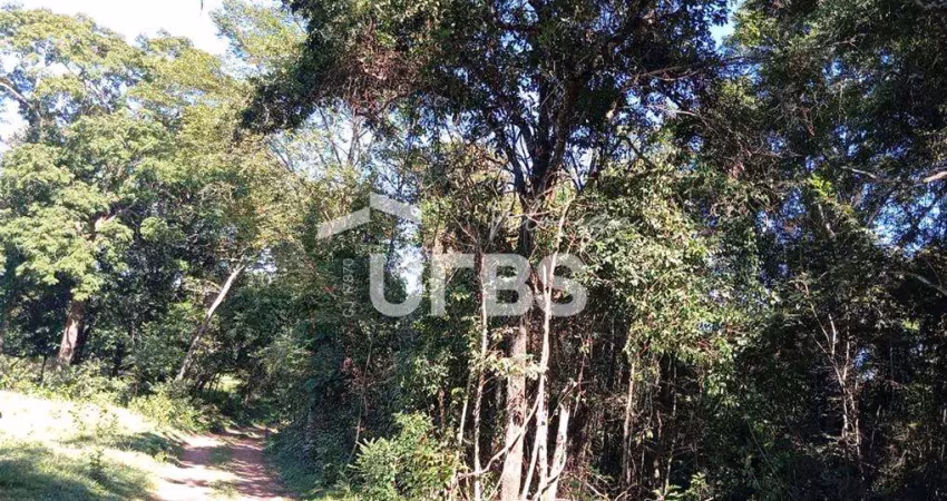 Fazenda à venda na Rua dos Pedreiros, Cidade Livre, Aparecida de Goiânia
