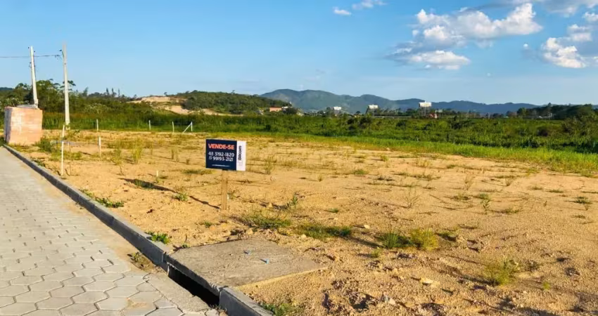 Terreno à venda na Avenida Nereu Ramos, Três de Maio, Capivari de Baixo