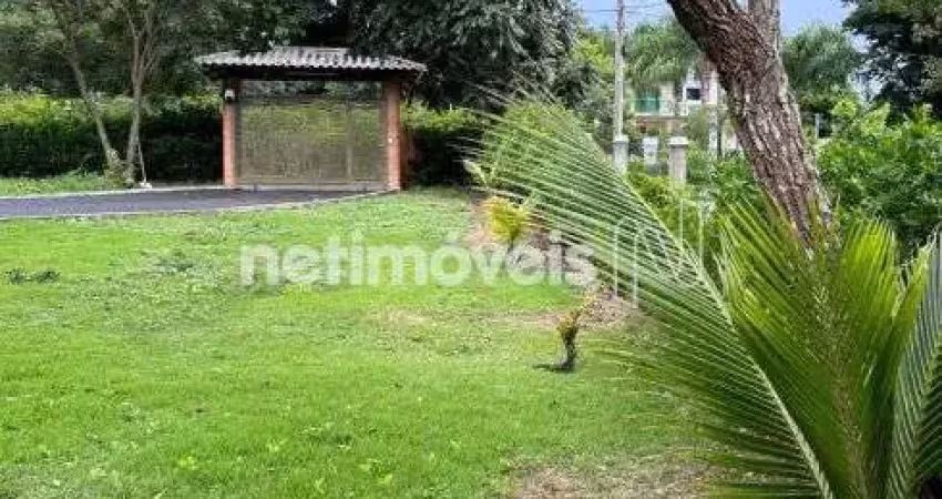 Chácara / sítio com 3 quartos à venda na Alameda das Acácias, Gentileza, Betim