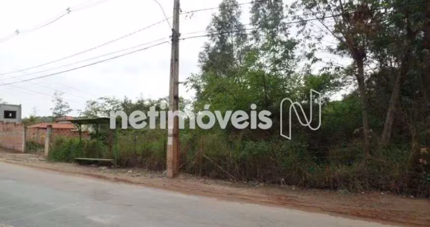 Chácara / sítio com 1 quarto à venda na Estrada Chico Mendes, Quintas do Jacuba, Contagem