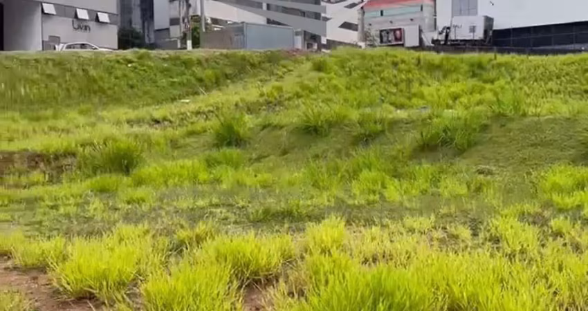 Terreno comercial à venda na Rua Santa Mônica, Parque Industrial San José, Cotia