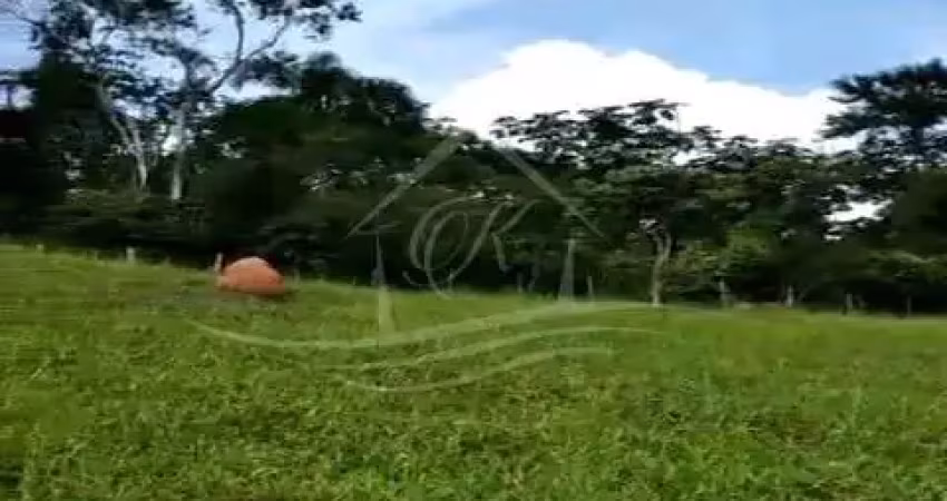 Chácara com 20 mil m² com escritura definitiva rodovia dos tamoios, jambeiro/sp