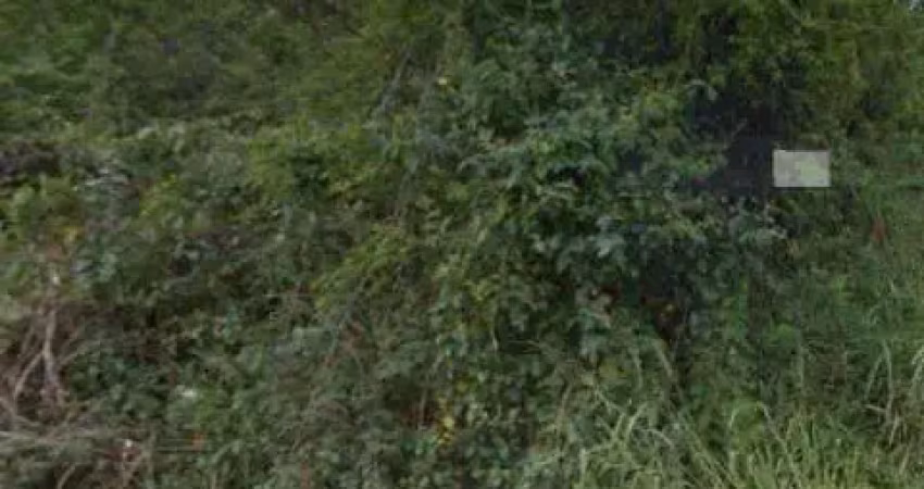 Terreno à venda no Tabatinga, Caraguatatuba 