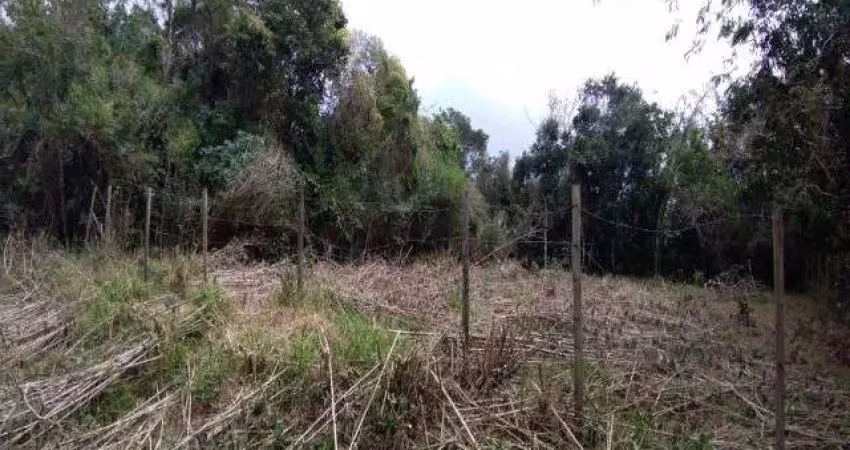 Terreno escriturado, sem árvores no jaraguá, são sebastião/sp