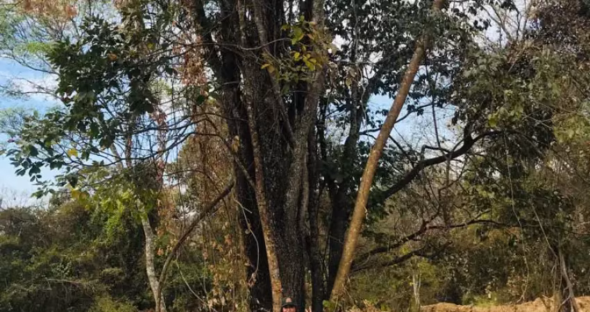 Terreno em condomínio fechado à venda na Praça João Stival, Centro, Nova Veneza