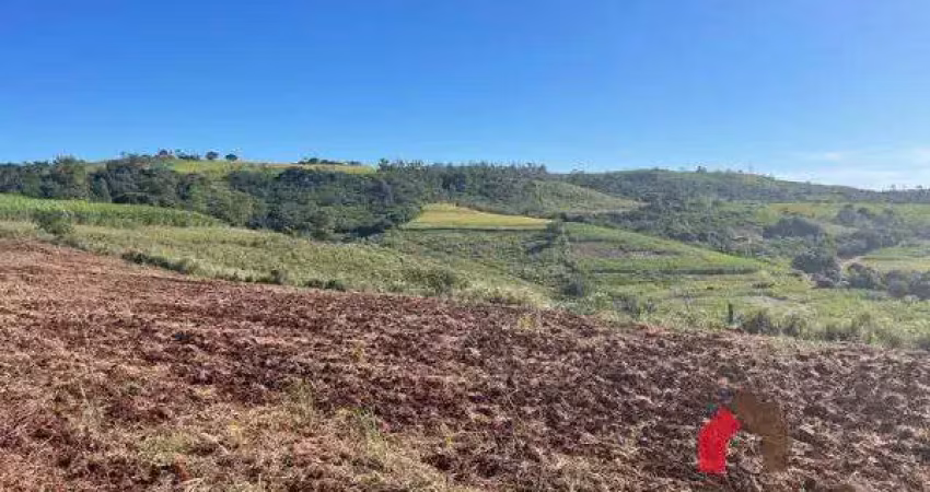 Chácara / sítio com 1 quarto à venda no Ouro Branco, Londrina 